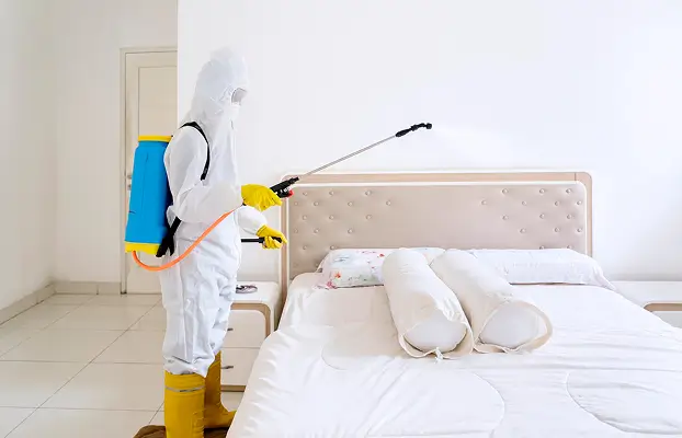 eliminate-bed-bugs