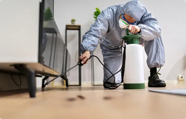 marrickville pest control