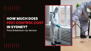 How Much Does Pest Control Cost in Sydney