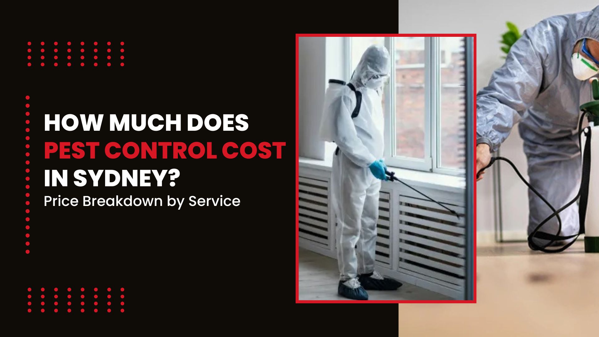 How Much Does Pest Control Cost in Sydney